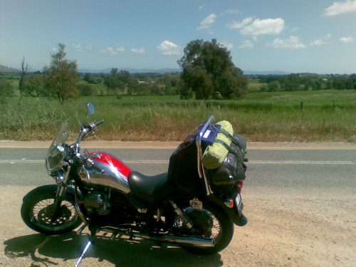 Greta after spring rains.